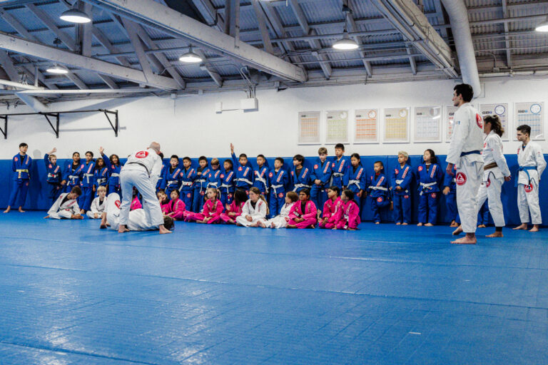jiu jitsu for everyone